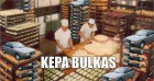 Deividas