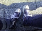 Bonys