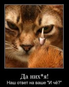 CoCuTe