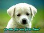 Jonis789