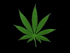 LetsGoHigh