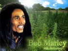 Marley