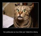 Steponas.