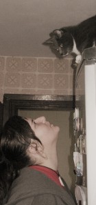 TavoMazhyle