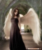 VampirePrinces