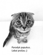 babioras