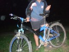 culex