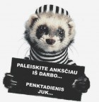 ddddeim