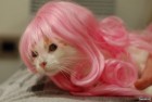 ginare
