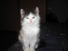 greta1119