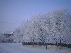 ruciuke