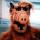 ALF nuotrauka