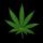 LetsGoHigh nuotrauka