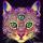 Mad_Racoon nuotrauka