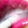 candy18 nuotrauka