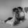 miley123456789 nuotrauka