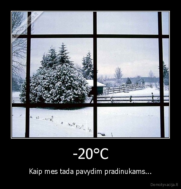 -20°C