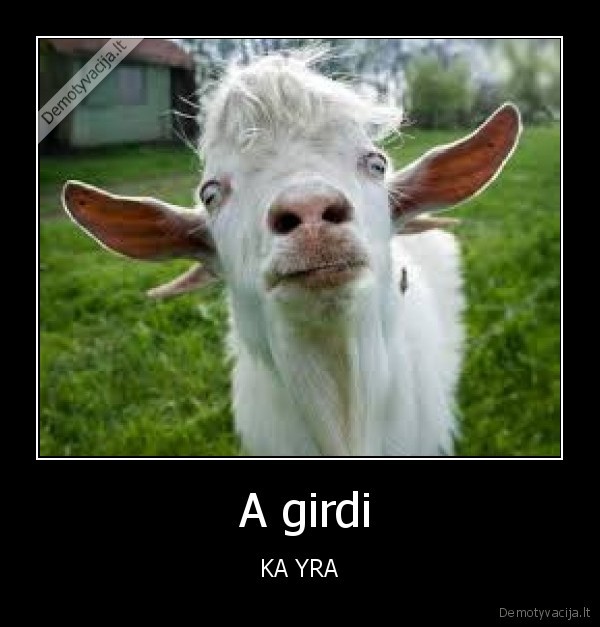  A girdi