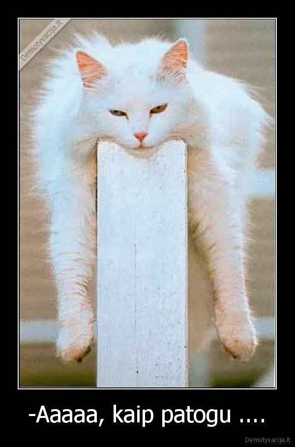 -Aaaaa, kaip patogu ....