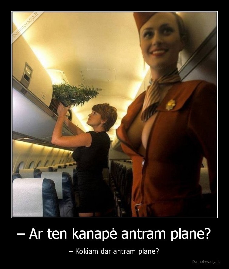 grazi, krutine,seksuali, iskirpte, stiuardese