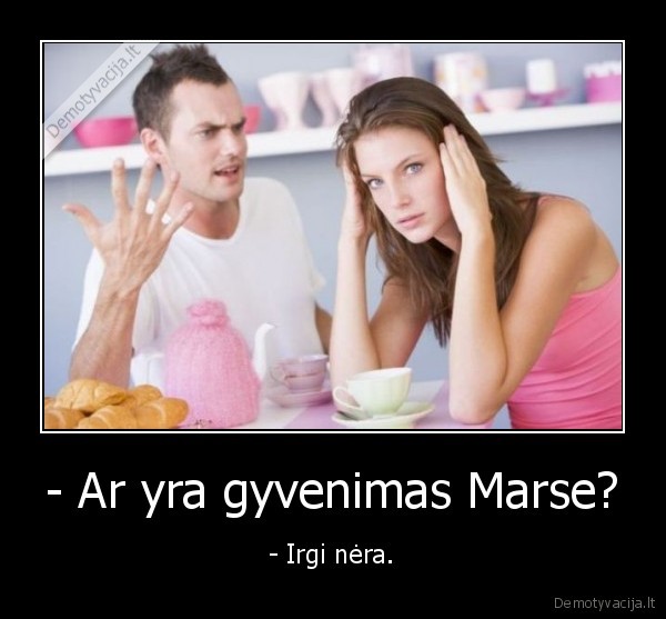 true, story, bro