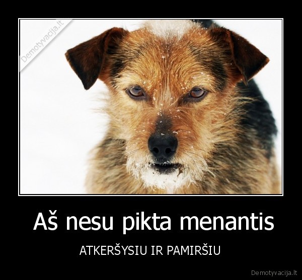  Aš nesu pikta menantis