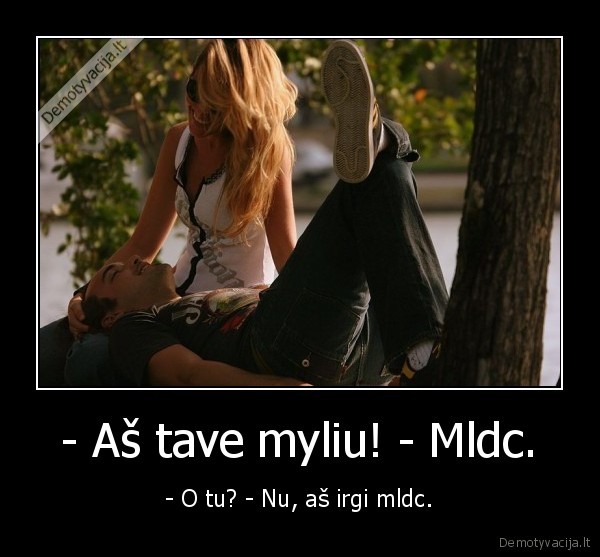 visi, mes, mldc