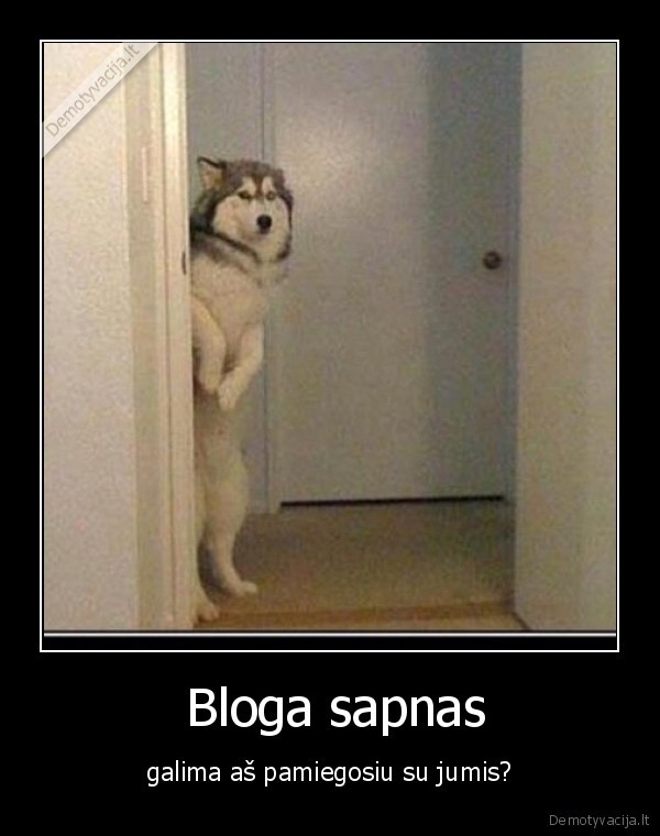  Bloga sapnas
