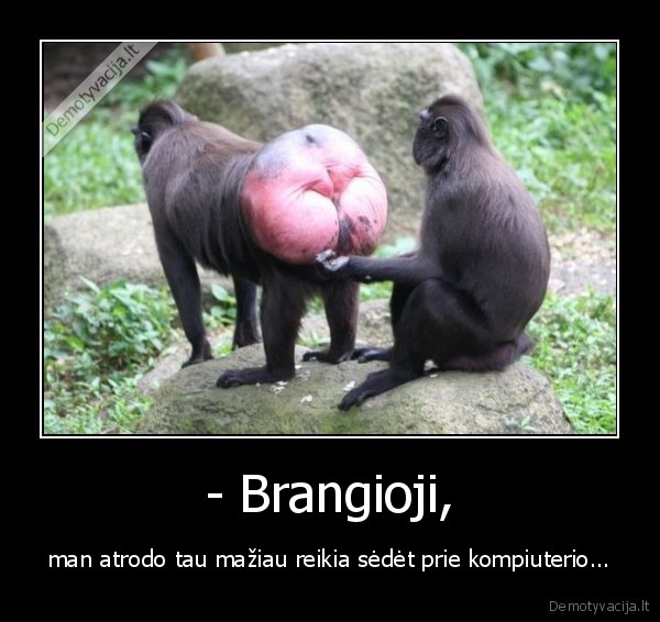 - Brangioji,