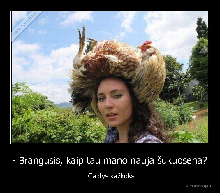 vista,gaidys
