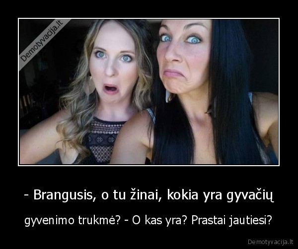 mergina, gyvate,bloga, savijauta