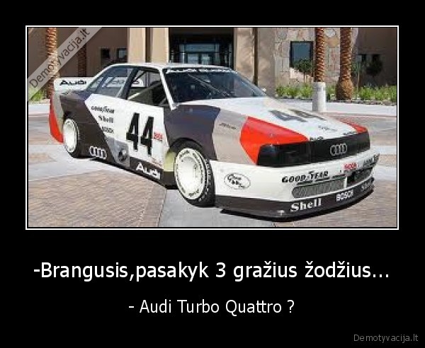 racingas,audi, tiburon, brangu