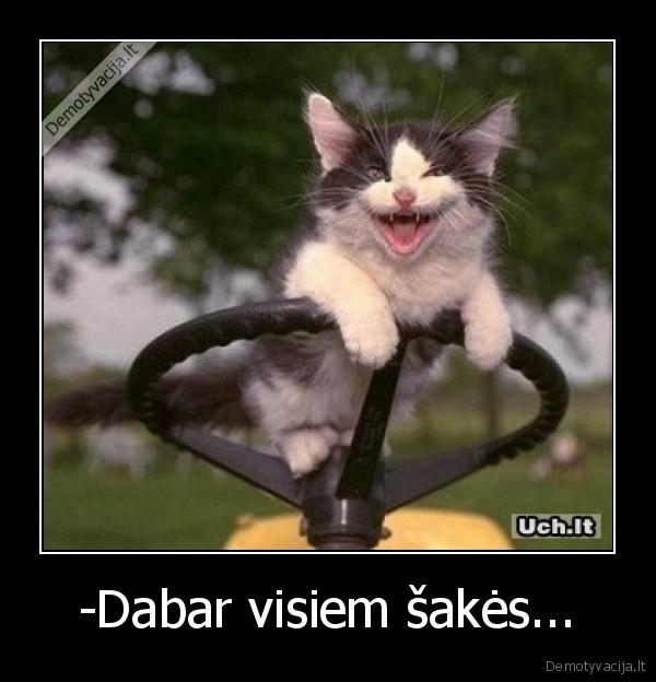 -Dabar visiem šakės...