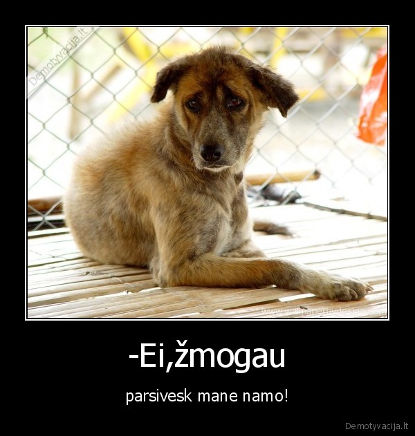 -Ei,žmogau