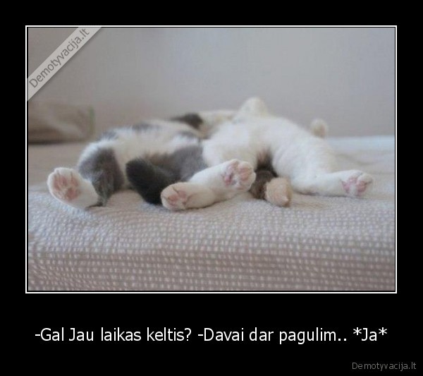 -Gal Jau laikas keltis? -Davai dar pagulim.. *Ja*