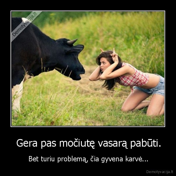 karve,kaimas,vasara,problema,mociute
