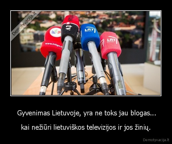 zinios,lietuva