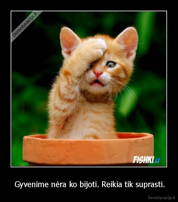  Gyvenime nėra ko bijoti. Reikia tik suprasti.