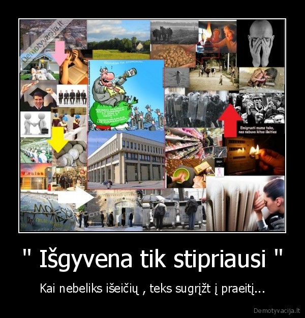 &quot; Išgyvena tik stipriausi &quot;