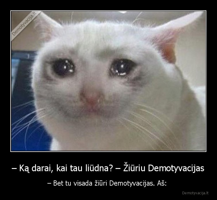 demotyvacijos,liudnas,katinas