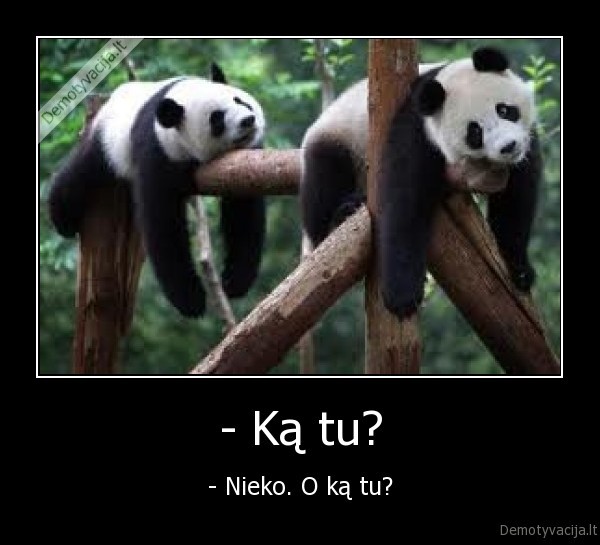 - Ką tu?