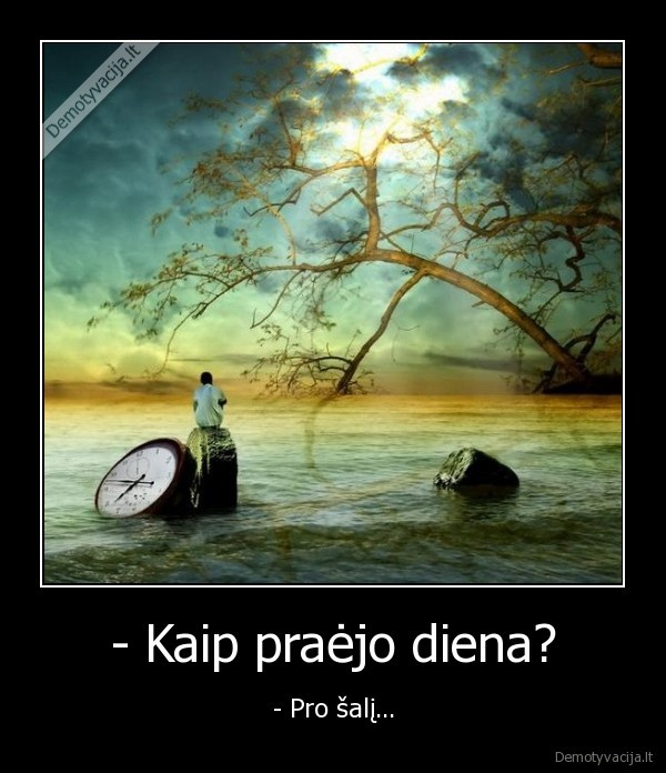 diena,kasdienybe
