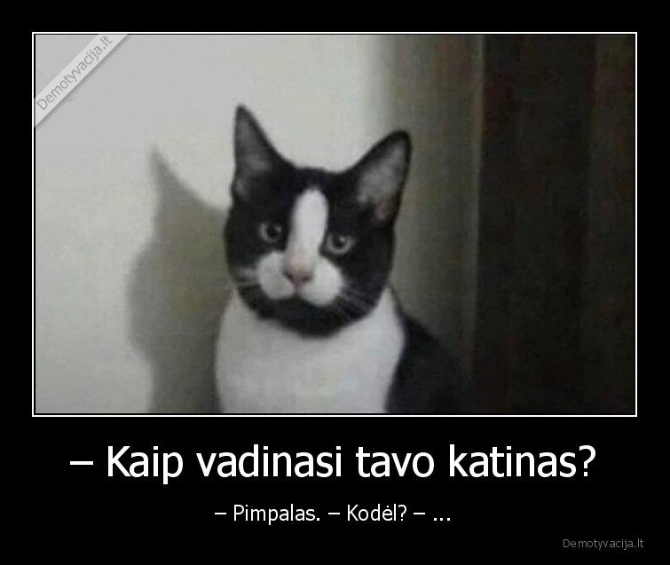 katinas,pimpalas,vardas