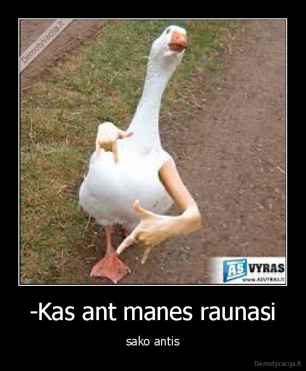 -Kas ant manes raunasi