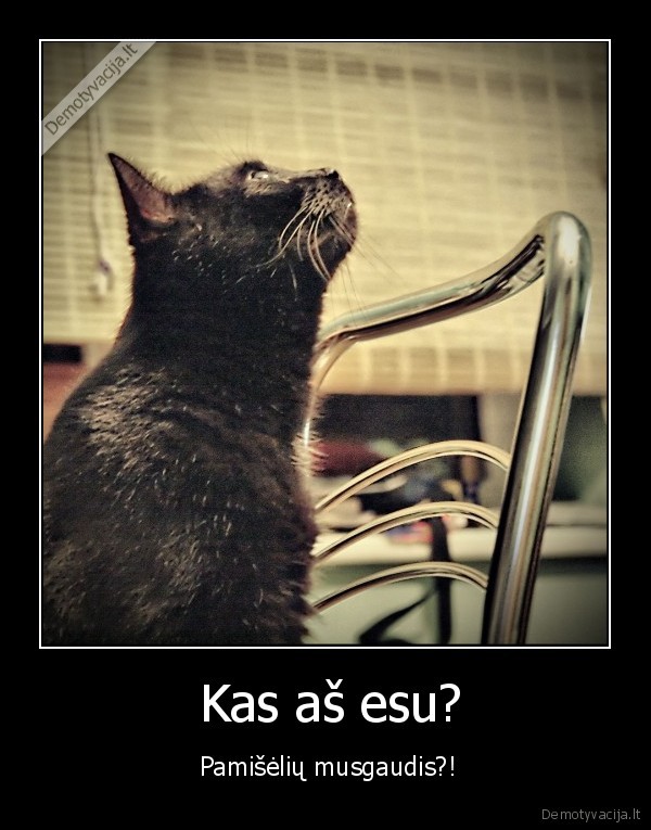  Kas aš esu?