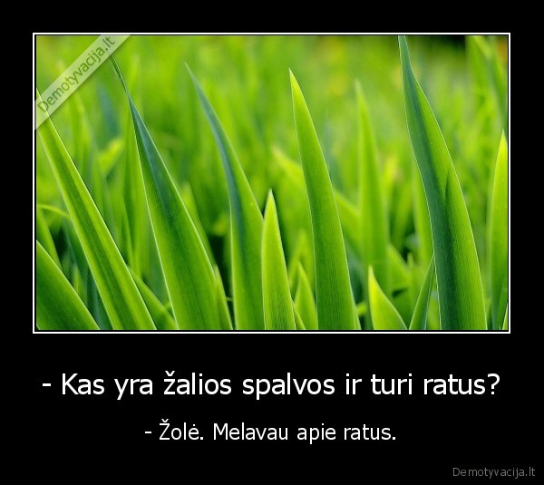 - Kas yra žalios spalvos ir turi ratus?