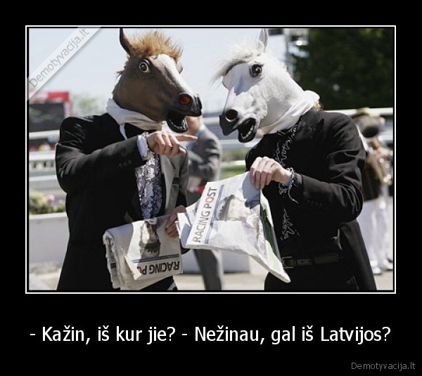 zirgagalva