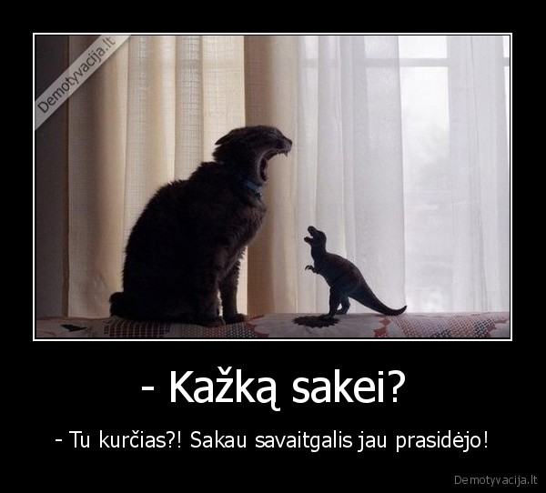 - Kažką sakei?