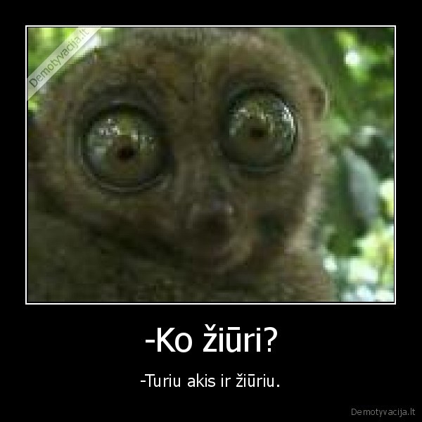 -Ko žiūri?