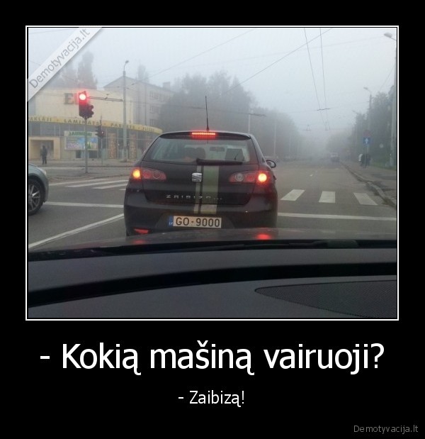 seat, ibiza,seat, zaibiza